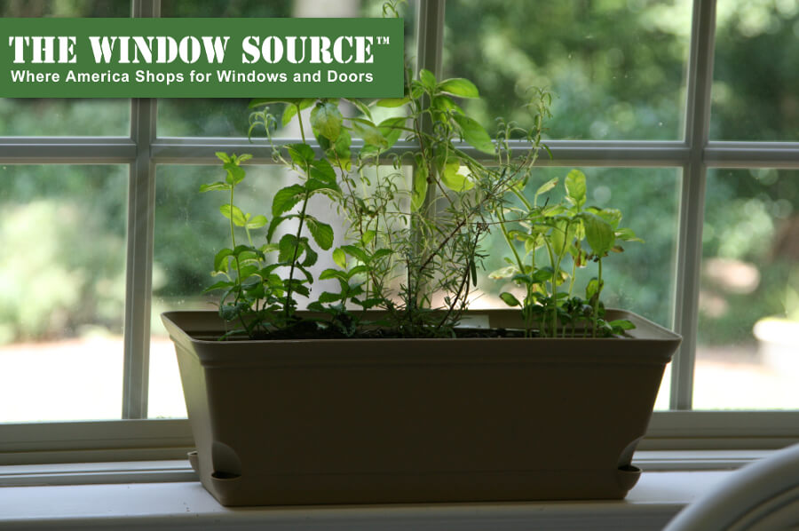 5 Herbs to Grow on Your Kitchen Window Sill