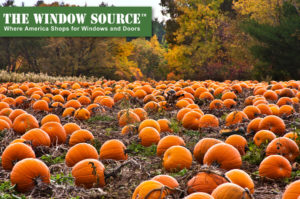 Pumpkin Patches in New England