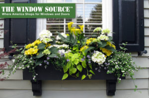 Preventing Window Boxes from Causing Home Damage