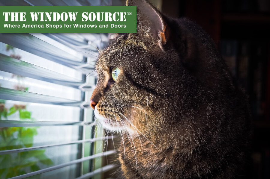 Everything You Need to Know About Energy Efficient Green Windows